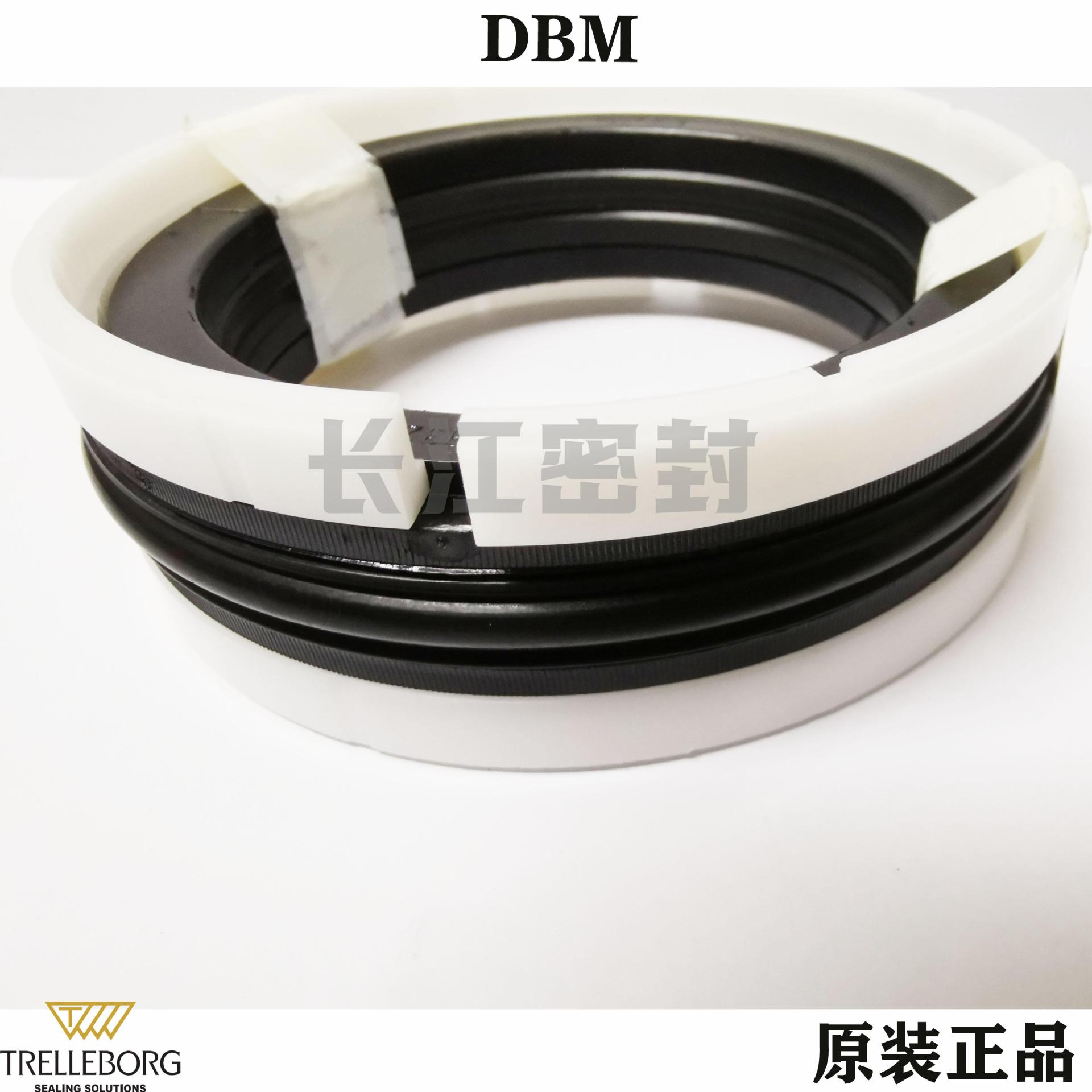 DBM 100-75-35.1（DAS POLYPAC) 629531 160-135 组合油封 港口