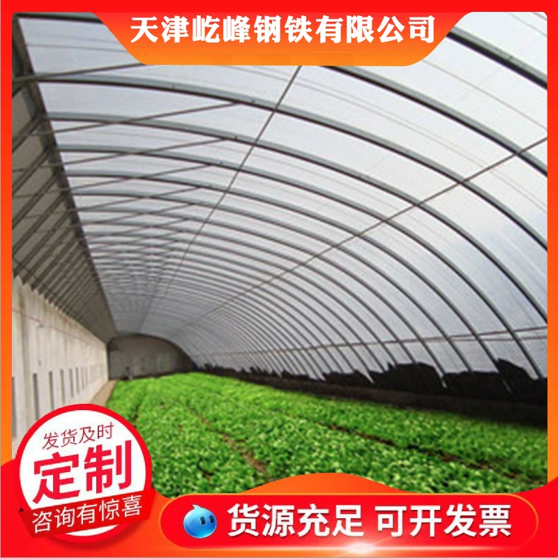 Производители теплиц обрабатывают овощи в теплицах