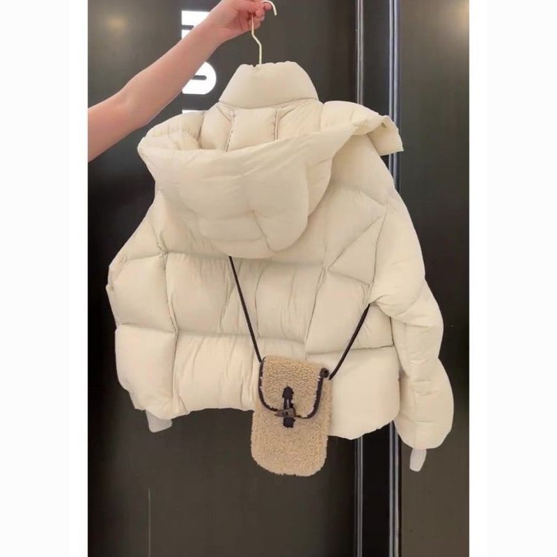 2024 New Lightweight Short Plush Cotton Coat for Petite Women, Winter Hooded Thickened Style