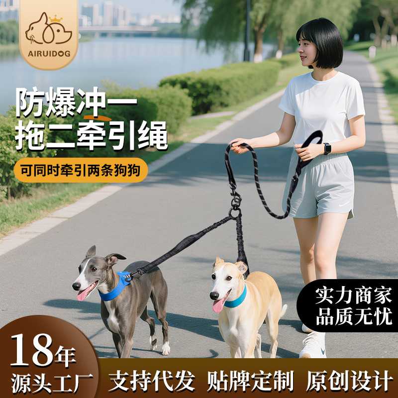 跨境狗狗牵引绳防爆冲一拖二遛狗绳双头牵引狗链中型犬宠物牵引绳|undefined