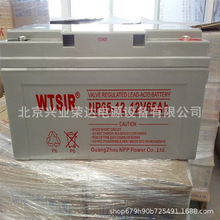 WTSIR蓄电池NPG200-12 12V200AH胶体太阳能储能电池深循环寿命长