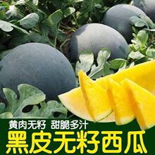 �߮a��Ƥ�S�����ϷN���S���������Ѻ�Ƥ�Sȿ���ļ��Nֲˮ�������