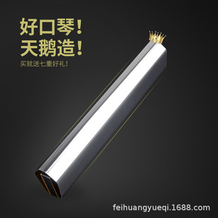 ���Z24�׏���������C�{���˳��W�ߌW�����I�������T����������