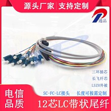 ֧�ֶ���12о����β�w��ż�LC/UPC0.9����β��ģ12о���w����