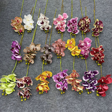 3D��ӡ5�^�����m���滨 ��������m���ԼҾӔ[�Ż����k���Ҽٻ�