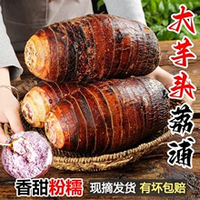 ���ڏV���������^10���߲��ش���������ë��Nֲ�������r���ڰl