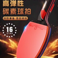 乒乓球拍成人比赛专业级高弹力学生初学者乒乓拍碳素套装