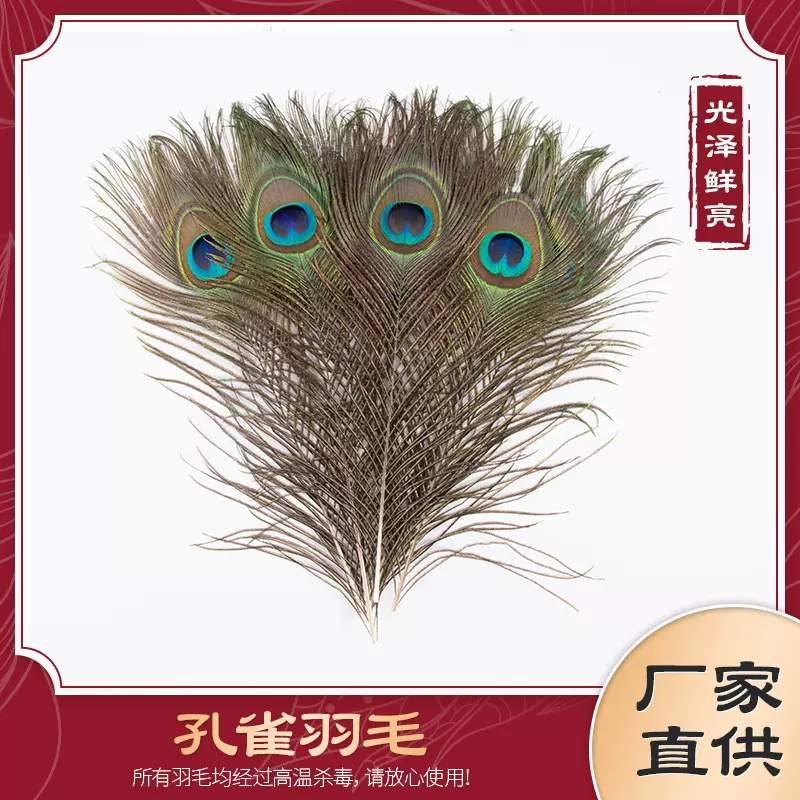 厂家直销25-30cm孔雀羽毛大眼中眼小眼孔雀翎毛diy服装配饰工艺
