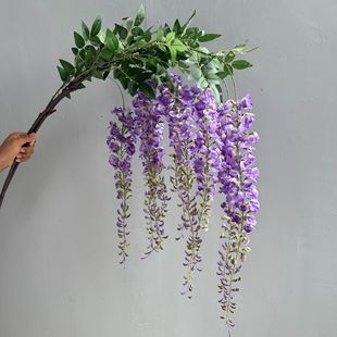 �ߙn���� ���ٻ� �������껨�Ƶ��b�֦���ٻ���픱ڒ��bS��