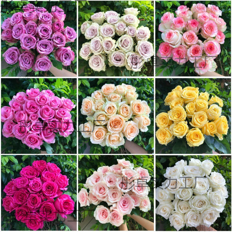 鲜花新鲜基地花束云南玫瑰礼直发香水百合直批包邮真花向日葵切花