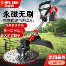 늄ӸݙCoˢóݙCʽƺ๦ܴݙCl羳