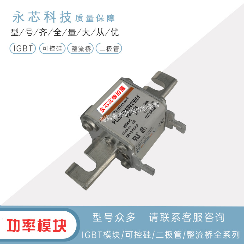 PC31UD69V630D1A 	Q300026原装进口双连体熔断器保险丝全新供应