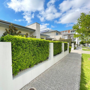 ͥԺ�G�hֲ�ﶬ�������ļ�����h�ʇ���ֱ�����������~�S�����ͺ�