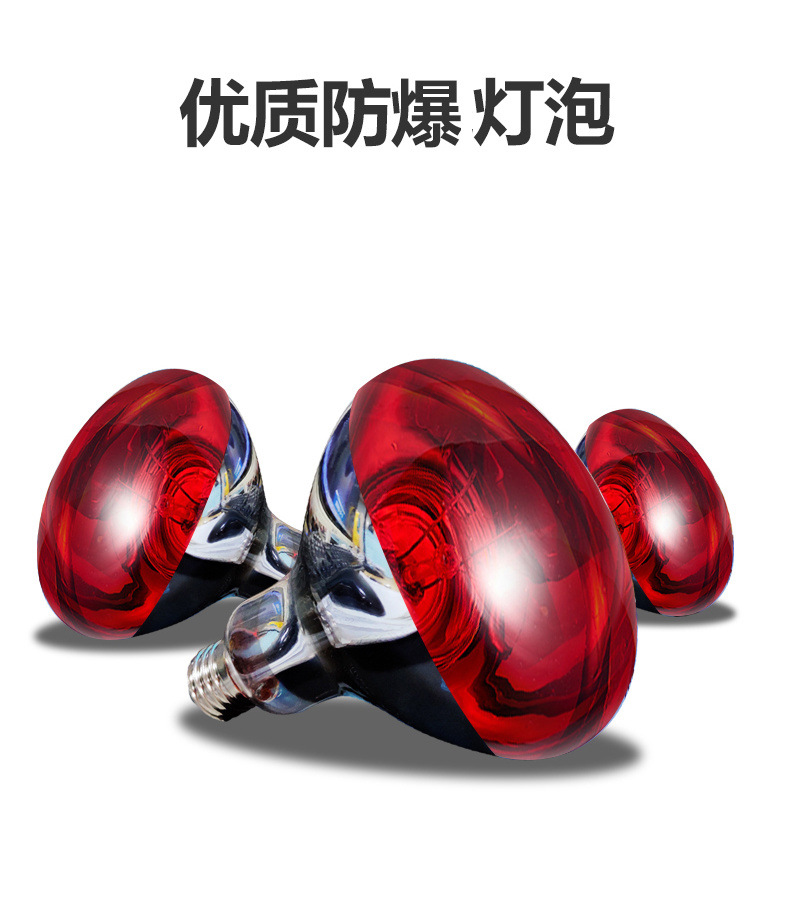 5c55b0b2-005b-4fc4-bb0f-b4123946e7f4.jpe