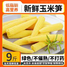 ˮ�����׹S���r����С����о�Ћ냺��Ƥ��횑����߲˻�������װ�