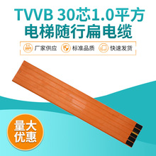 ECHU/�׳� TVVB 30о*1.0ƽ�� ����S�б���|