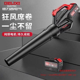 Delixi Storm High Power Hair Dryer Rechargeable Outdoor Lithium Battery Garden Leaves Dust Snow Blower