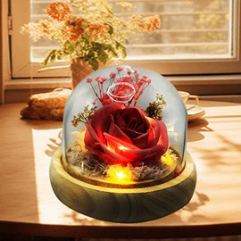 木质工艺品;圣诞装饰品;创意夜灯