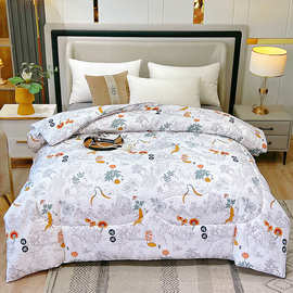 大豆纤维被芯冬季棉被秋冬被保暖被子加厚被冬天双人单人被褥定制