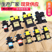 廠家直供農用噴霧器水泵 隔膜泵電動噴霧器各種高壓大功率水泵