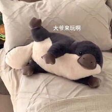 羳Fпɐۿͨëq߹ܛŮY