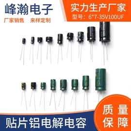 铝电解电容器