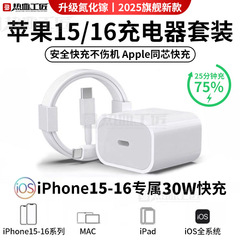 【急速充電セット】デュアルTypeCデータケーブル充電ヘッド PD30W ホットブラッドクラフトマン/TZ10