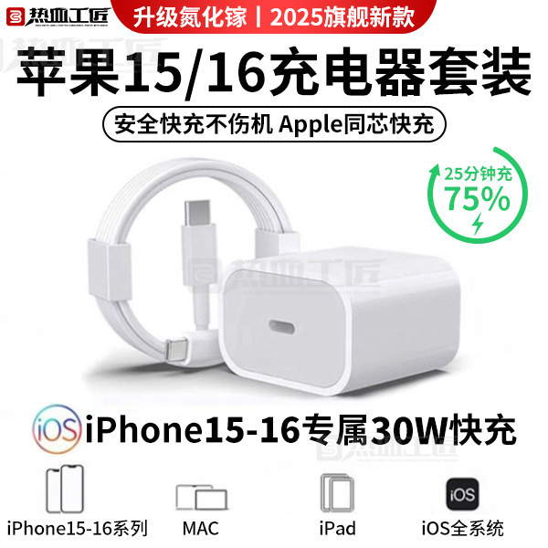 [Fast Charging Set] Dual Typec Data Cable Charging Head Pd30W Hot-Blooded Craftsman/Tz10
