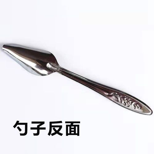 Parrot Feeder Hand-raised Mynah Bird Bulbul Bird Quail Chick Milk Formula Feeding Spoon Stainless Steel Spoon