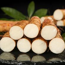 河北小白嘴白山药9斤装新鲜铁棍山药新鲜铁杆怀山药炖汤产地直发