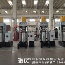 接骨木籽榨油机  接骨木籽榨油机价格  接骨木籽沙棘籽液压榨油机