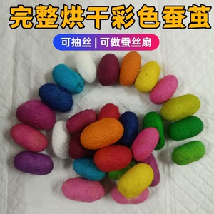 [彩色蚕茧可做扇子染色蚕茧可抽丝可做蚕丝扇烘干diy材料]