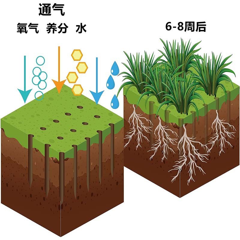 O1CN01vuz33v1kAXoahwHd2_!!9836