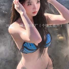 批发泰国蝴蝶性感辣妹度假比基尼纯欲风分体泳衣女温泉沙滩BIKINI