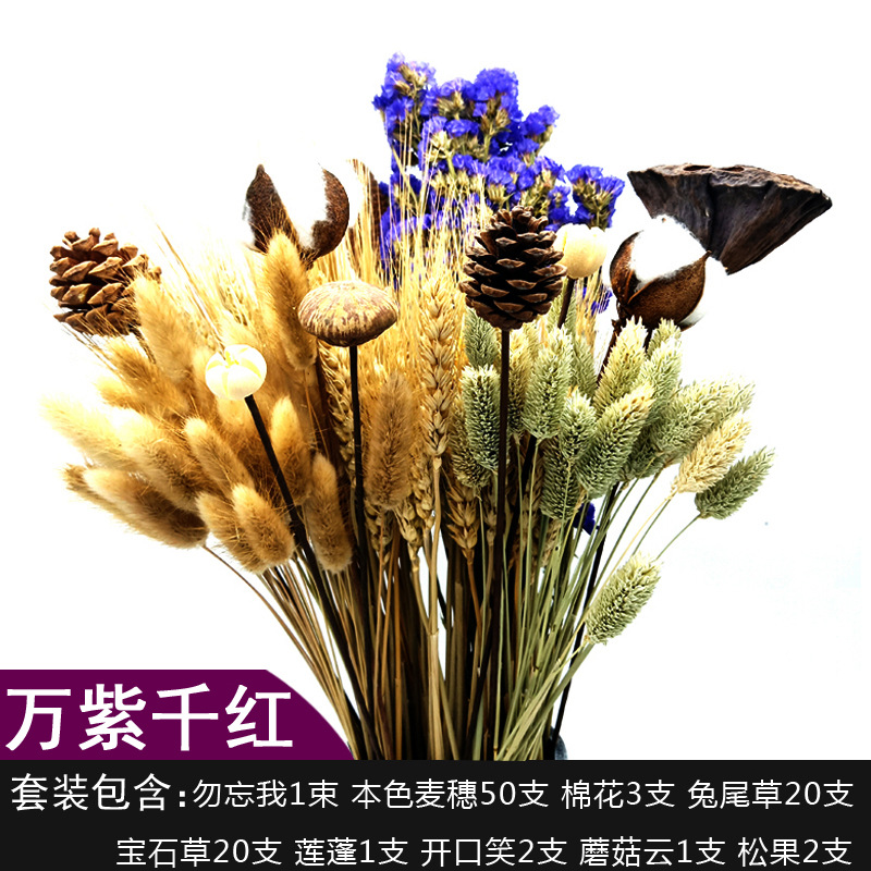 보라색 다채로운 세트