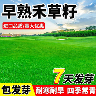 �M������̲�ƺ���ѿ��������G�������ļ���ͥԺ�e�����`̤�ݷN��