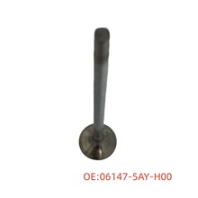 �����ڱ��� �������������� 06147-5AY-H00