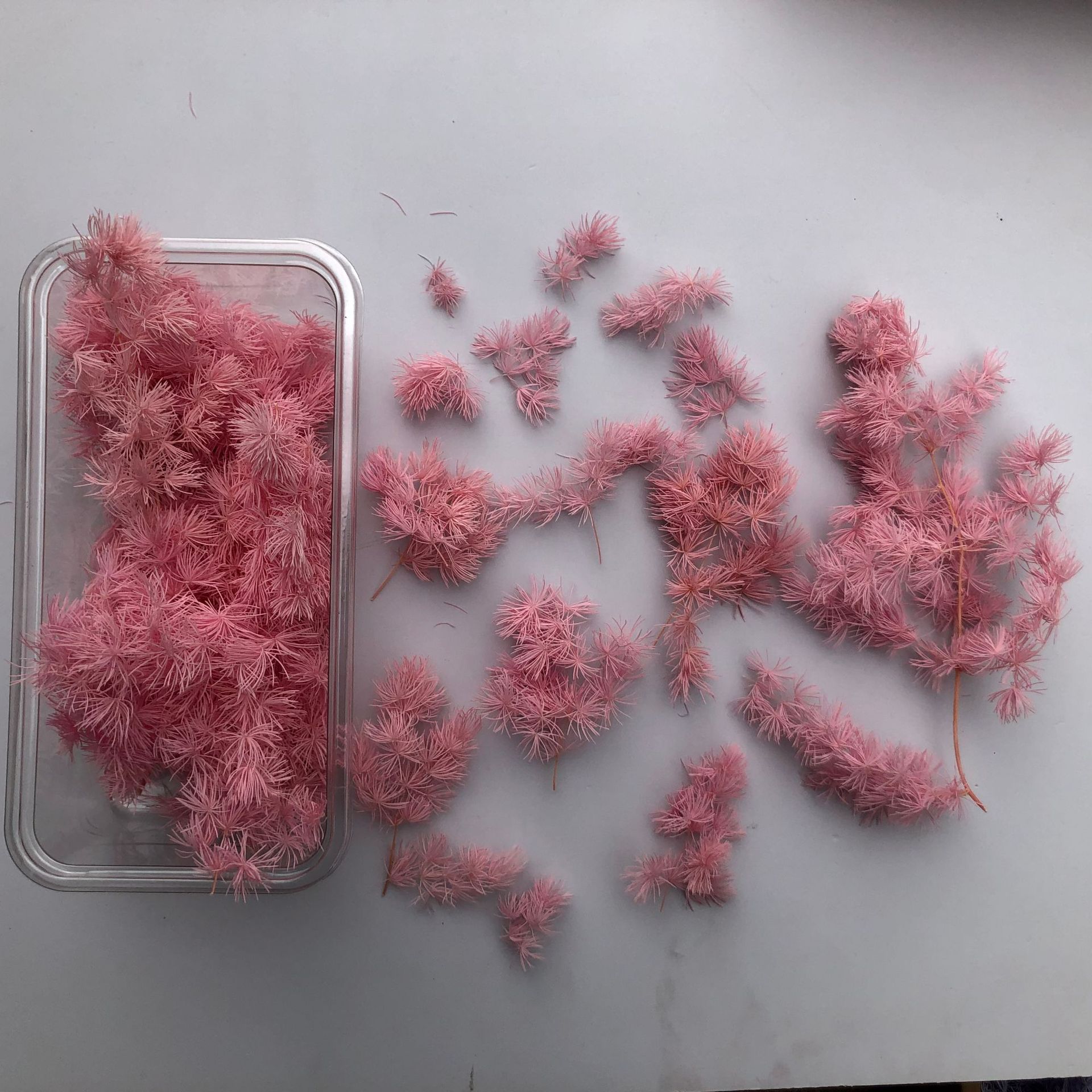 Branche de pin de Penglai éternelle, couvercle en verre, matériel de bricolage, accessoire de décoration florale flottante pour la maison_voghion.com