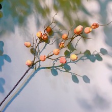 仿真果实僵尸果烟斗果豌豆射手北欧复古家居室内装饰植物批发摆件