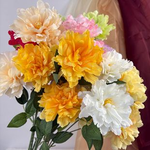 ���滨3�^ܽ�ػ��F؛���l��Y���û�c�û����Ż������滨ܽ�ػ�