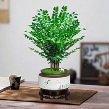 С�~��̴�Ϙ���������՚��辰����ȩ�҃������[�^�~�Gֲ���B����