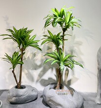 ����ľ�F��Ѫ����ʽ�U���L��Ӱ巿������ؾGֲ�����Ծ��b�