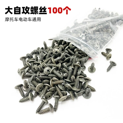 Clips, Iron Sheets, Cards — Other Electric Vehicle Accessories - 100-large-self-tapping-screws