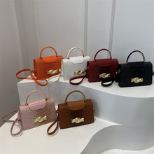 �͹����2025ʯ�^�y�¿�n�洺���r�к��sб��μ�����С��Ů��