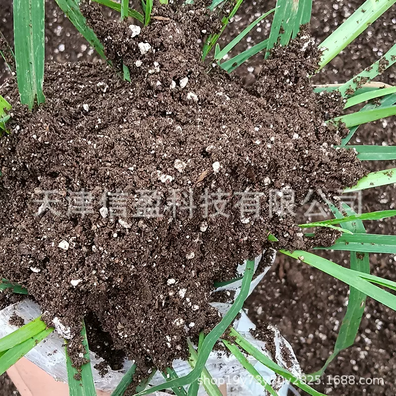 供应腐殖土种花营养土有机肥蔬菜绿化多肉育苗基质园艺栽培育苗土