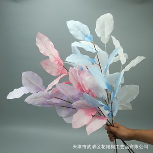 3�������~��֦�����~���J�~����~��c������픲��ò廨���滨