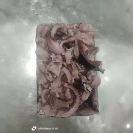 软体类;鱼类;贝类