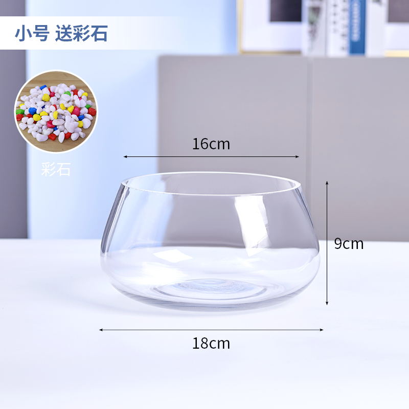 작은 거북이 캔은 유색 돌을 보냅니다.