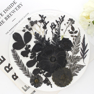Black flower factory direct dried flower embossed black series of plant specimens real flower leaves flower material bag
