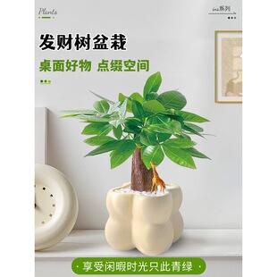 �lؔ��С�����҃ȾGֲ�k�������������L���Ժ��B���ļ���������ȩ